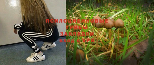круглые Заволжск