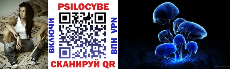 Псилоцибиновые грибы Cubensis  Купить закладки  Краснознаменск 